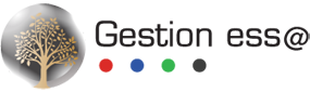 Logo Gestion Essa